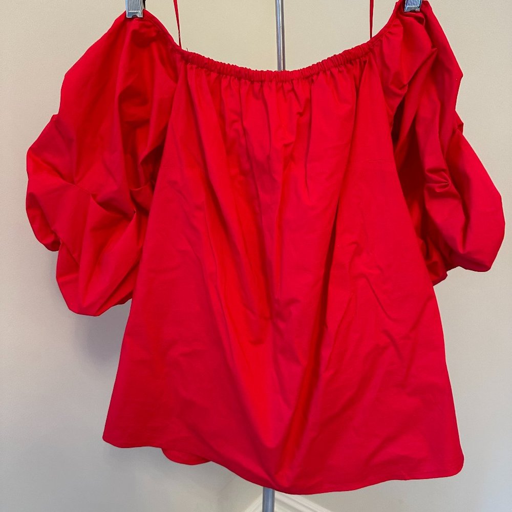 Petersyn Off-The-Shoulder Balloon Sleeve Top